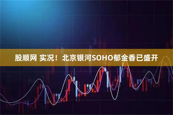 股顺网 实况！北京银河SOHO郁金香已盛开