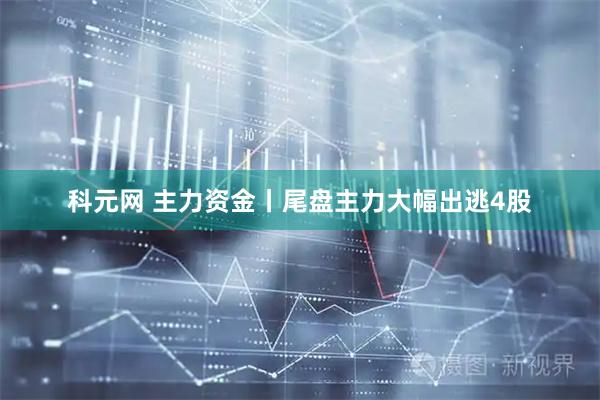 科元网 主力资金丨尾盘主力大幅出逃4股