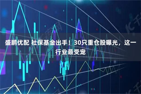 盛鹏优配 社保基金出手!30只重仓股曝光,这一行业最受宠