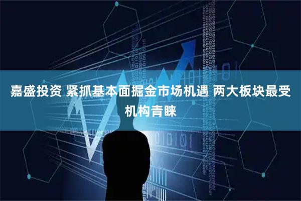 嘉盛投资 紧抓基本面掘金市场机遇 两大板块最受机构青睐